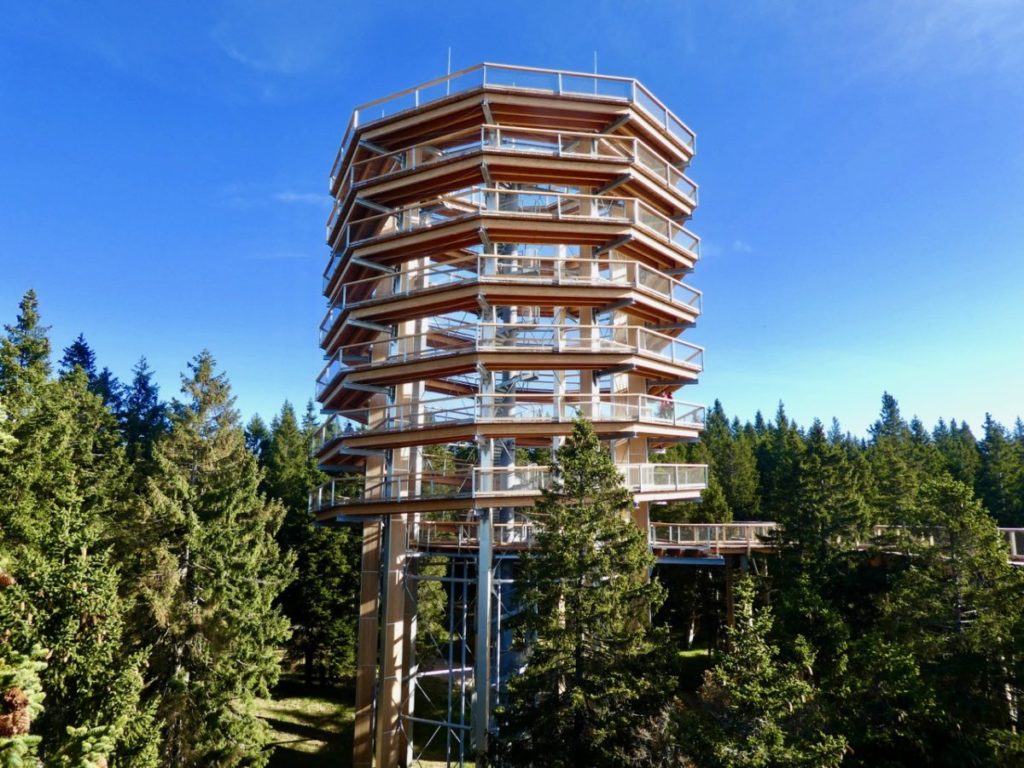 Treetop walk observation tower in Slovenia