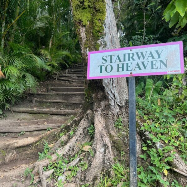 Stairway to Heaven Tet Paul St. Lucia
