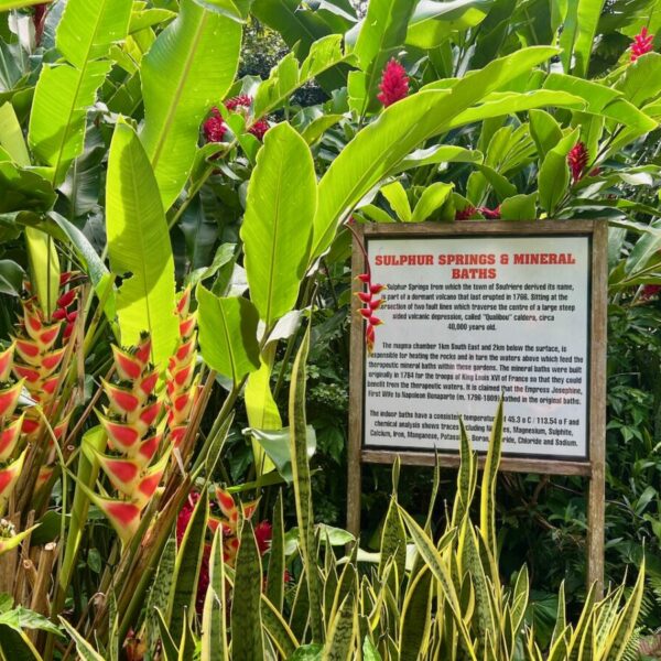 Botanical Garden St. Lucia