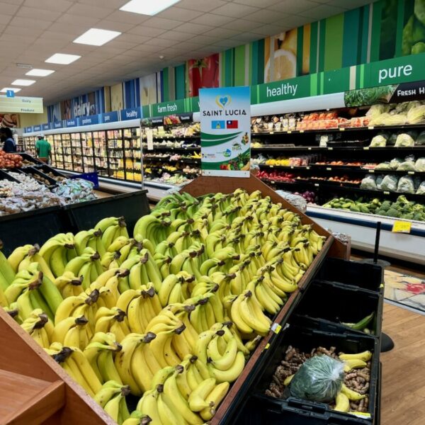 Bananas Massey supermarket St. Lucia