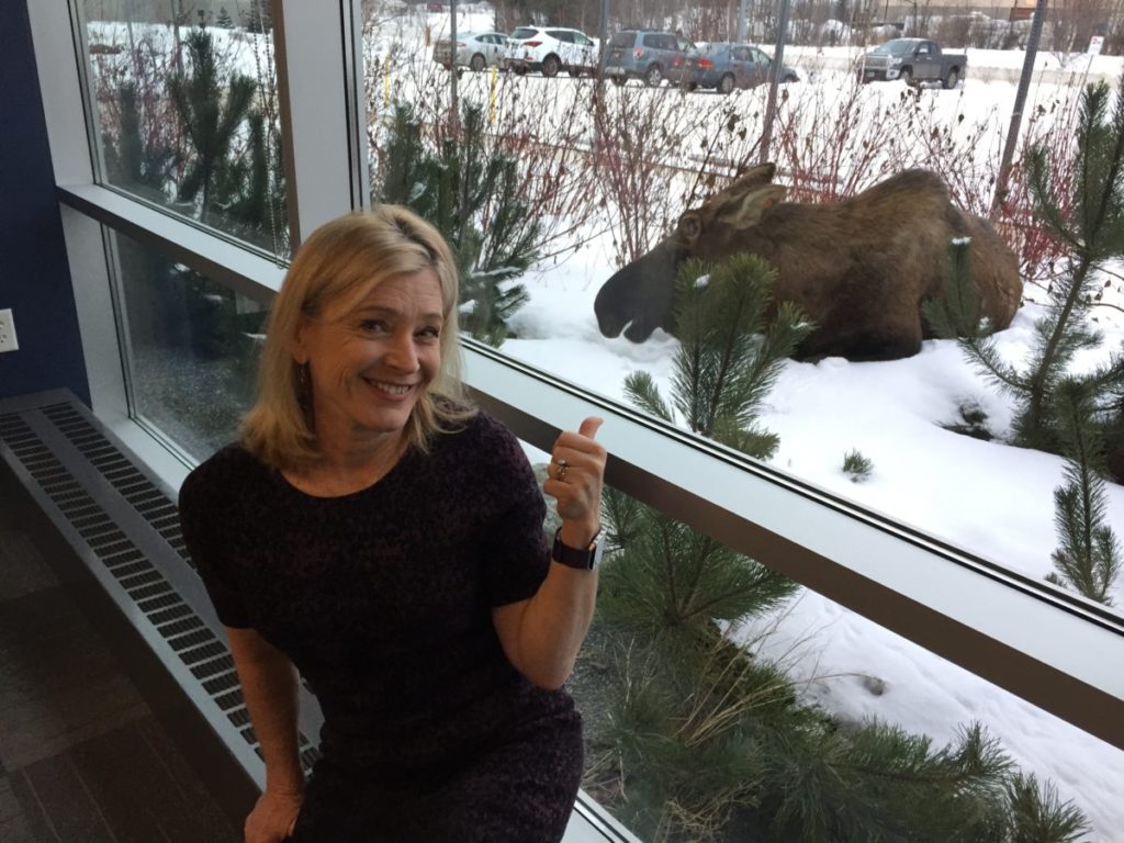 My day at the office in Anchorage Alaska -- with a moose!