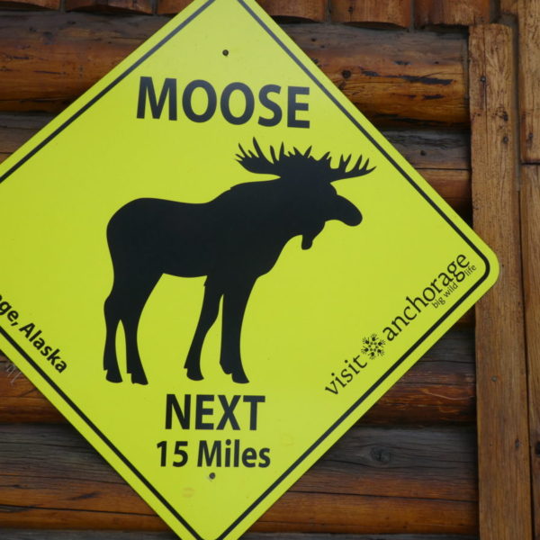 Moose Warning sign in downtown Anchorage Alaska